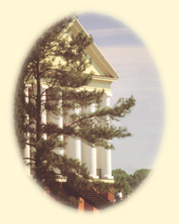 alcorn1.jpg